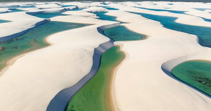 作为世界上最神奇的沙漠，拉克依斯沙漠生存着哪些生物？