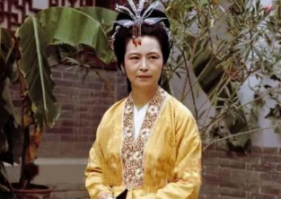 红楼梦中贾政与王夫人表面上相敬如宾，实际上貌合神离