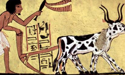 古埃及人为什么崇拜动物？古埃及人崇拜动物的原因