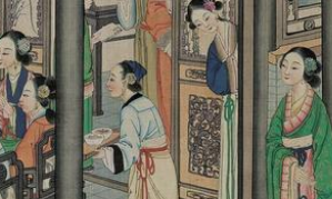 《红楼梦》南安太妃去见贾府姑娘，她的真实目的是什么？