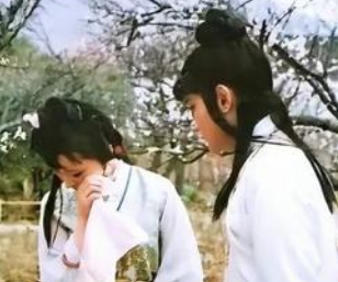 红楼梦中黛玉葬花想表达什么意境？