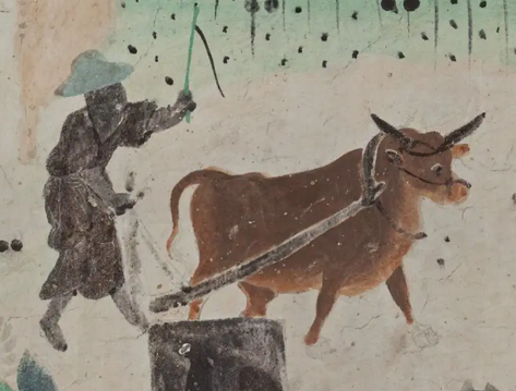 古代中国的牛禁：探究汉朝、唐朝与宋朝的牛保护政策