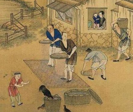 汉初休养生息：一场重塑国运的治国实践