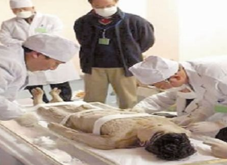 1769567977833990.png image.png