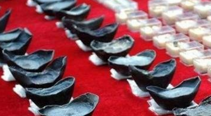 村民锄草发现一块令牌，牵扯出天地会五六百箱珠宝