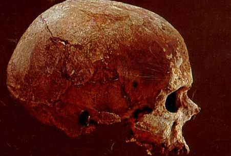 克罗马农人：距今3万年前欧洲大陆上一种寿命不长智慧较高的早期人类