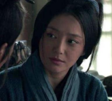 张辟疆是汉朝的天才少年，为什么在史书中记载甚少？