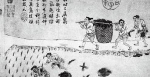 揭秘：北周与北齐有哪些差距？