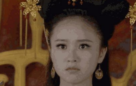 羊献容的生平怎么样？她都经历了什么