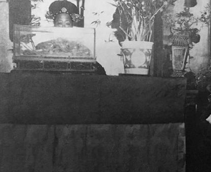 慈禧为什么选择溥仪继承皇位 继承皇位的原因是什么