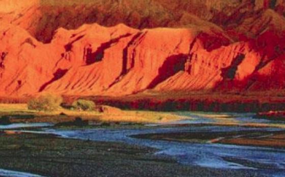 古代西域大国：龟兹的历史发展