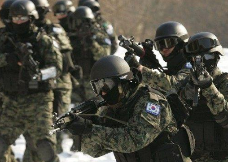盘点世界十大特种部队 野小子特种部队仅仅排行第三