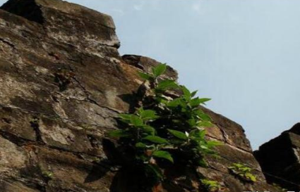 紫薇大帝在人间的地位如何 为什么百姓会对他如此的崇拜呢