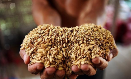 古代打仗都需要押运粮草 古人是怎么运输的呢