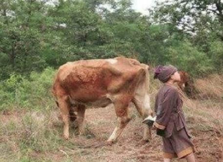 朱元璋幼时为汤和杀了地主的牛，汤和最后结局如何？