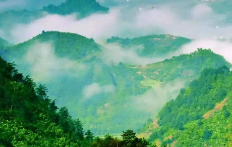 北邙山为什么让皇族权贵趋之若鹜？死了之后都想葬在北邙山？