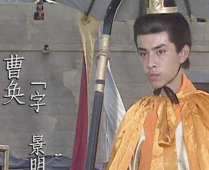 魏元帝曹奂作为曹魏王朝最后一个皇帝 他真的连一个后代都没有吗