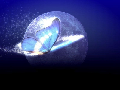 因为两个小女孩抢桑树叶而引发的蝴蝶效应 吴楚两国之间的战争彻底爆发