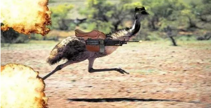 鸸鹋战争期间澳洲皇家炮兵团是怎么输的 他们是怎么打的