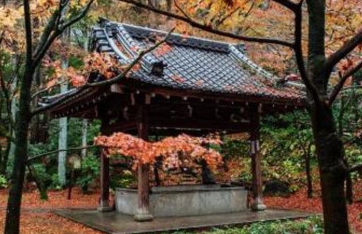 西田几多郎有着怎样的哲学造诣？对于他的评价是怎么样的