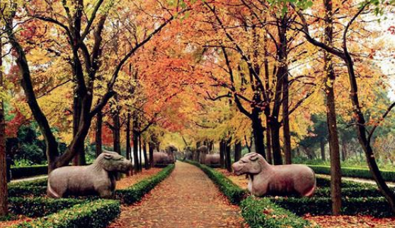 朱元璋到农家避雨，后来赐农夫&ldquo;牧马千户&rdquo;