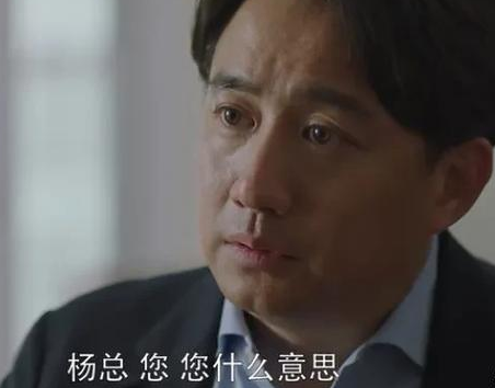 《小欢喜》为什么只有方圆一个人被裁 被裁的原因有几点