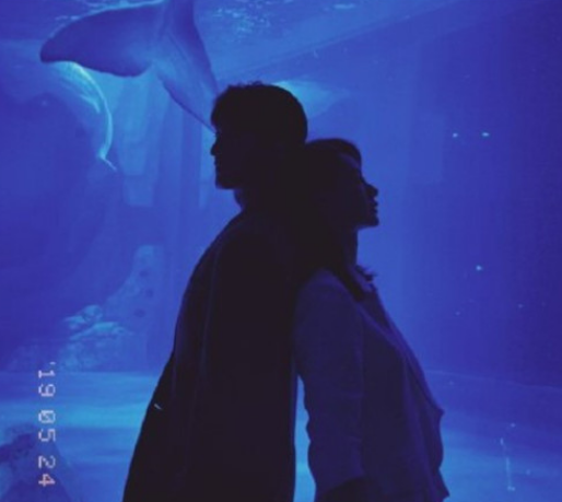 没有秘密的你哪里可以看?没有秘密的你更新时间?