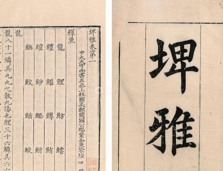 王安石有个默默无闻的弟子，家族中出了个众所周知的大诗人 