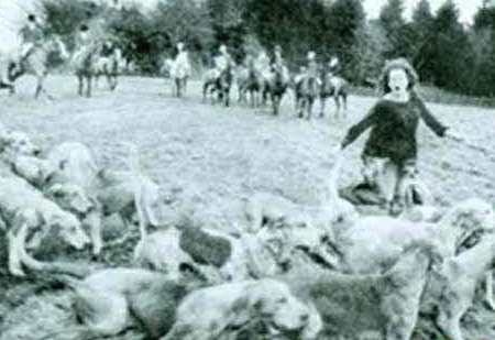 圈地运动是在什么背景下开展的 该类型分别是什么样的