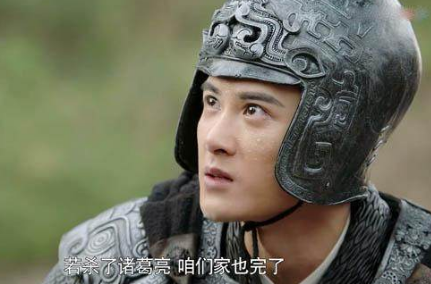 历史上的司马昭是什么样的？怎么评价他？