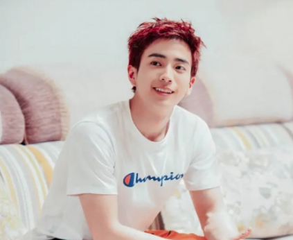 《扑通扑通的青春》维特是谁演的？他是个怎样的人？