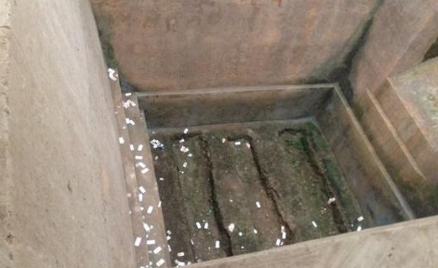 马王堆辛追墓为何完好无损？原因是什么