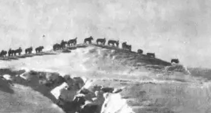 揭秘:大战场上叱咤风云的中国骑兵，如今还存在吗？ 