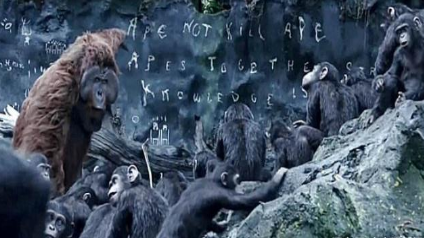 超级真菌在美爆发 已经感染病例有多少