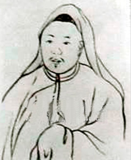 清朝道光举人 云南临安知府张亮基简介