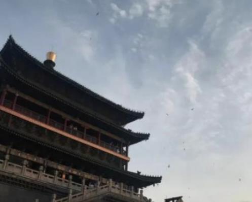 初唐四杰个个都是人才，为何结局都不好？