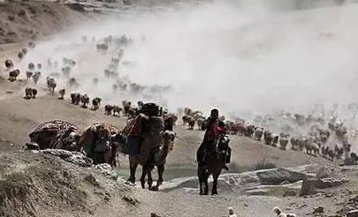 永嘉之乱发生的原因是什么 竟然会导致西晋朝代的灭亡