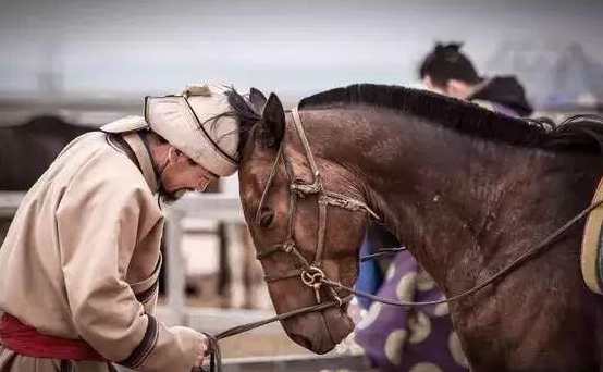 金帐汗国是算俄国的历史吗？为什么俄国历史将它算了进去