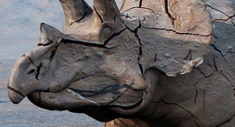 比利时地质学家Jean d'Omalius d'Halloy研究巴黎盆地时提出白垩纪简介