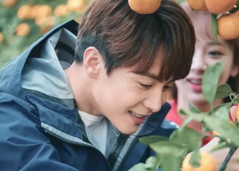 《我的莫格利男孩》莫格利为什么要和凌熙分手？