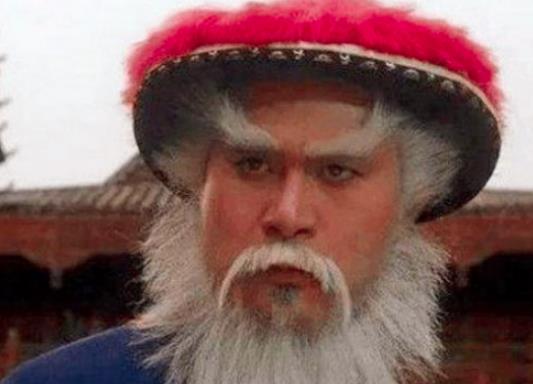 如果鳌拜不束手就擒，有野心的谋反会不会成功？