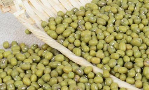 绿豆属于哪种垃圾？绿豆是干垃圾还是湿垃圾？