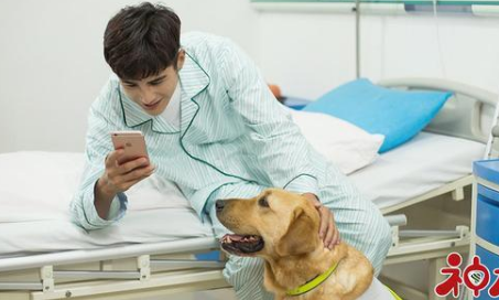 《神犬小七3》萌宠围剿毒贩立大功
