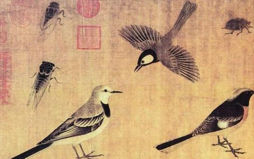 “写生珍禽图”画了哪些东西？“写生珍禽图”是属于什么流派的画作？