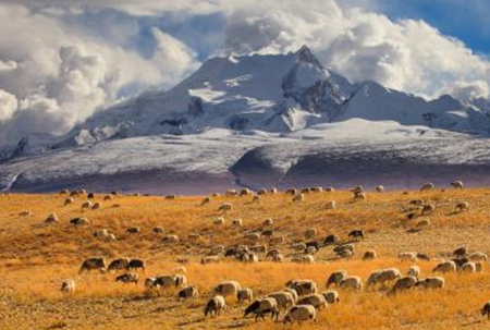 西夏的传说有哪些？黑水国遗址真的存在吗？