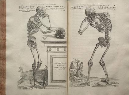 关于王清任的评价是怎样的？他是解剖第一人吗