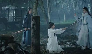《听雪楼》萧忆情的什么举动让舒靖容定下终身