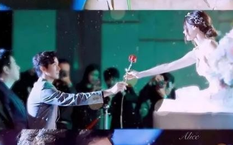 《吹落的树叶》一共多少集？吹落的树叶剧情介绍！