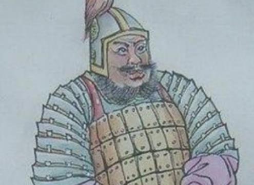 马援平定羌乱攻打岭南，什么没进云台28将？