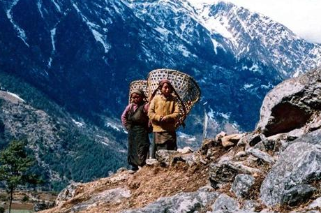 西夏王朝灭亡之后西夏人去哪儿了？西夏现在是什么民族？